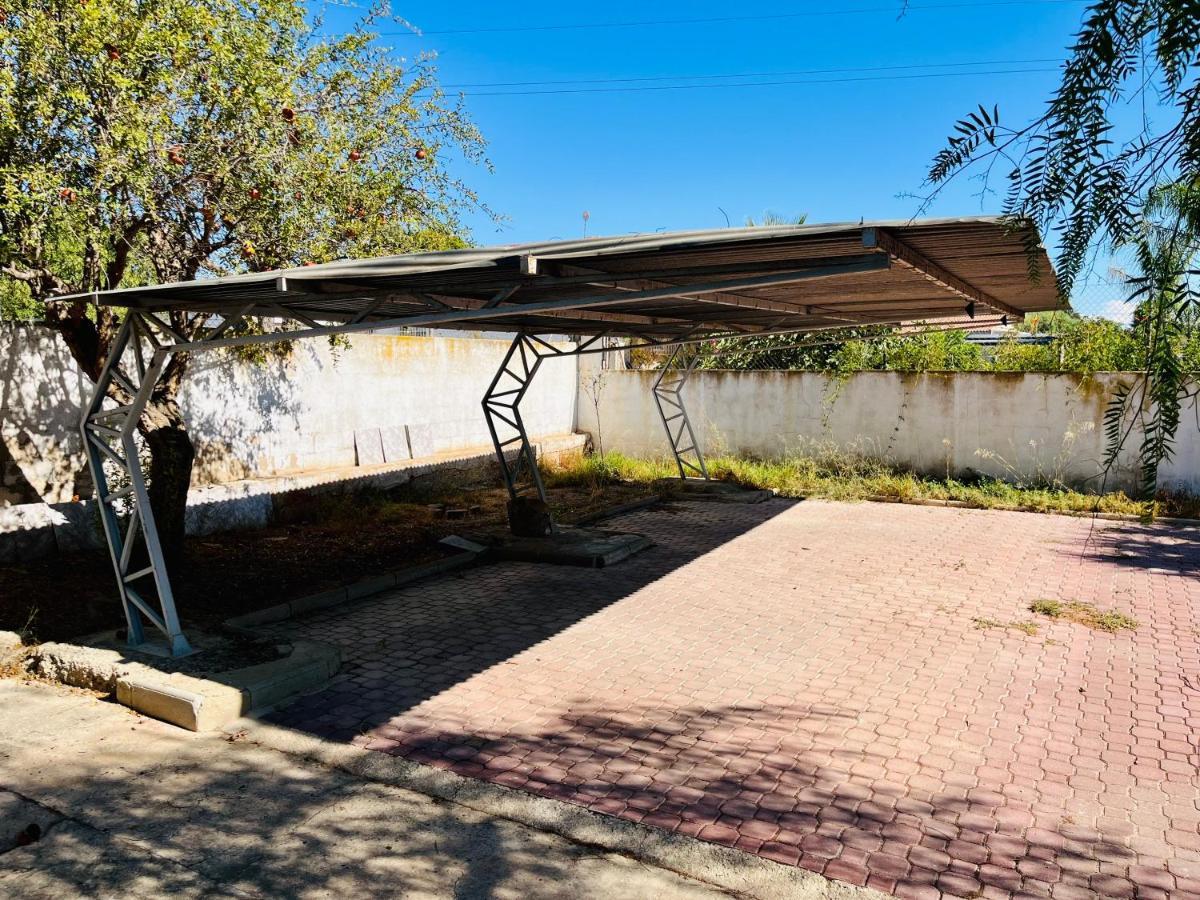 Estudio Adosado Acogedor Con Jardin, Barbacoa Y Parking Privado Alicante Exterior foto